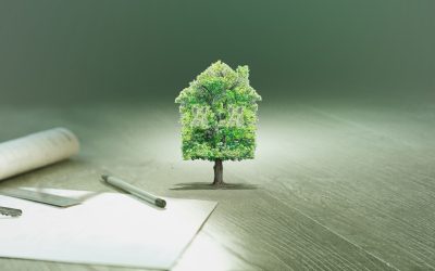 Gagner de l’argent en dormant : mythe ou réalité ?
